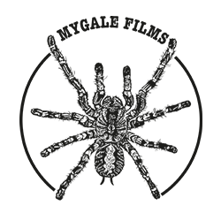 logo5